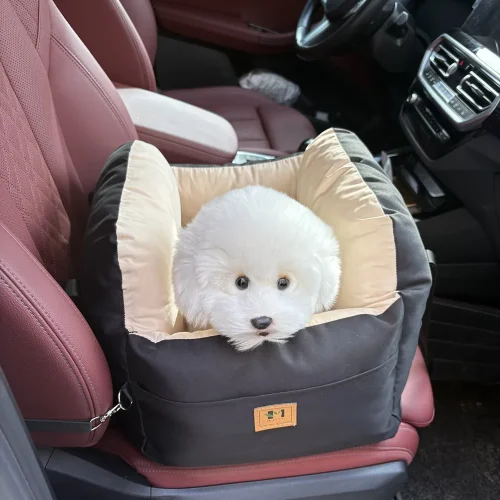 Dog Car Seat with Safety Belt