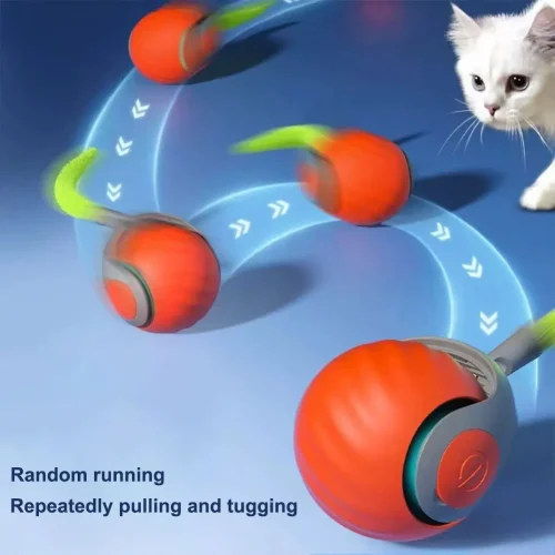 Electronic Interactive Pet Toy Rechargeable