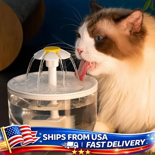 Automatic Pet Water Fountain Large Capacity USB Powered