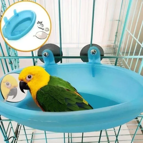 Bird Bath Basin