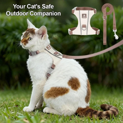 Cat or Small Dog Harness Leash Set Small Pet Harness